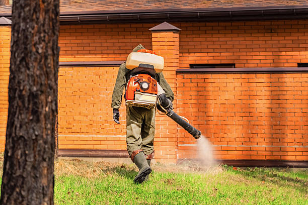 Top rated local Mosquito Control specialists in Scottdale, PA